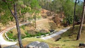 Ranikhet