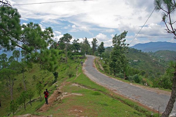 Binsar