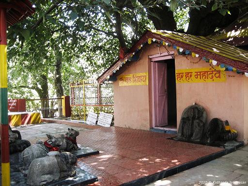 Kalpavriksha
