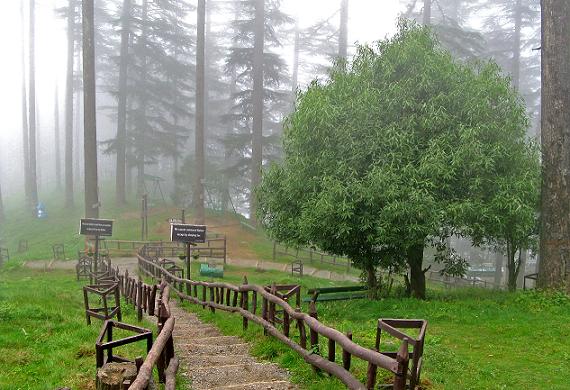 The Eco Park