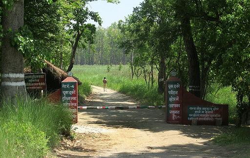 Surai Forest Range