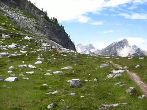 Abbott Mount