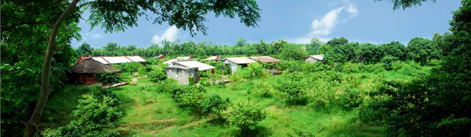 Jaagar - The Village Resort