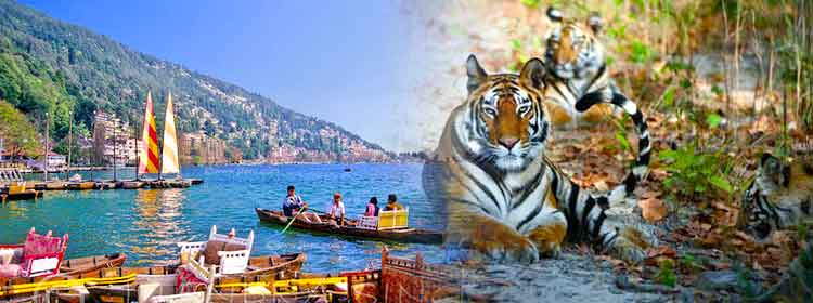 Nainital Corbett Tour Package 