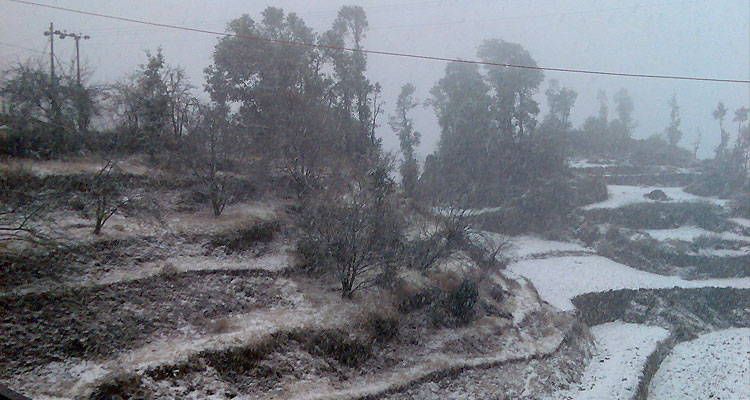 Dhanaulti Tour Packages 