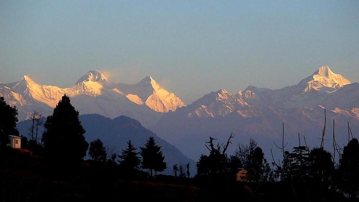 Chaukori Tour Packages
