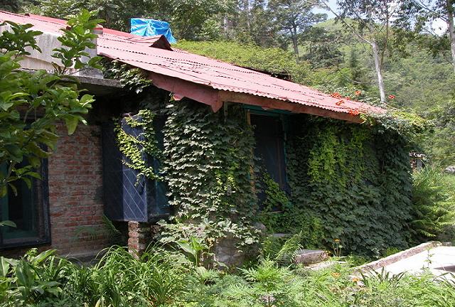 The Cottage