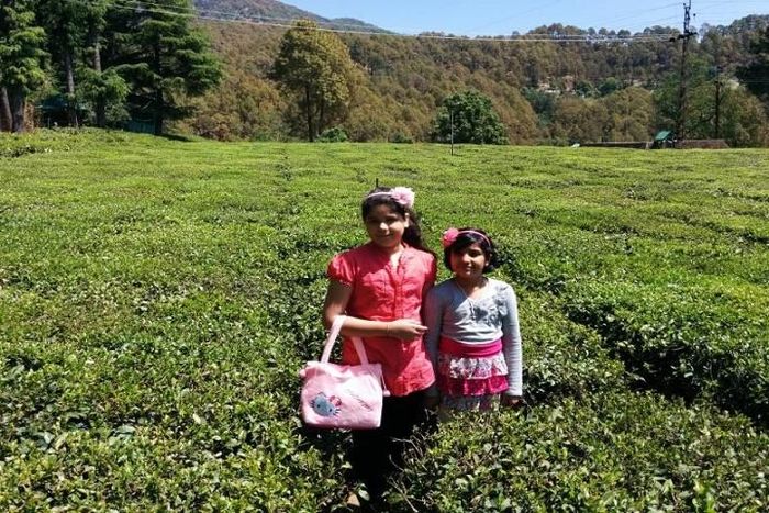 Bhowali Tour Packages