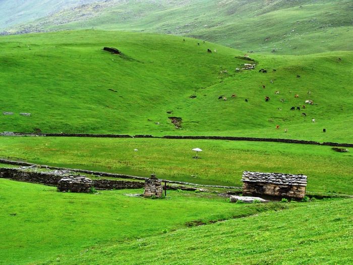 Bedini Bugyal Trek