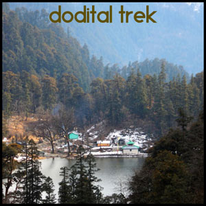 Dodital Trek