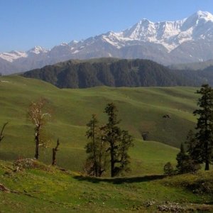 Dayara Bugyal Trek