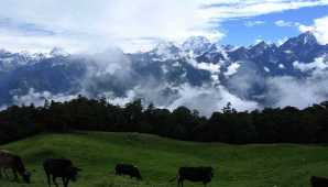 Gorson Bugyal Trek