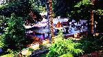Haat Kalika Temple Photo